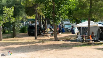 Parcela Caravana O Autocaravana