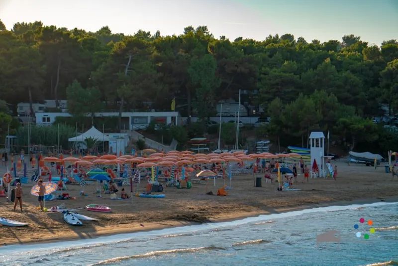 Emplacement Caravane Ou Camping-Car