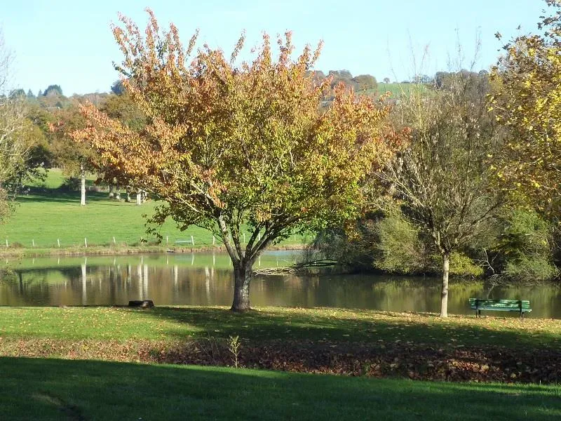 Camping LE BOIS DE SOPHIE