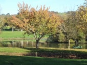 Camping LE BOIS DE SOPHIE