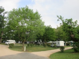 Stellplatz - Stellplatz Plus (Zelt, Wohnwagen / 1 Auto) + Strom - Camping LE BOIS DE SOPHIE