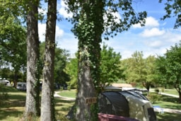 Parcela - Camping :  Forfait Solo : 1 Empl +  (Pélerin)  Avec Tente Ou Vélo - Camping LE BOIS DE SOPHIE