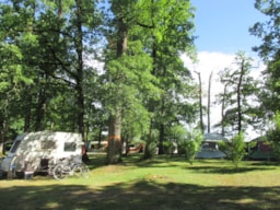 Kampeerplaats(en) - Standplaats Basic (1 Tent, Caravan / 1 Auto) - Camping LE BOIS DE SOPHIE