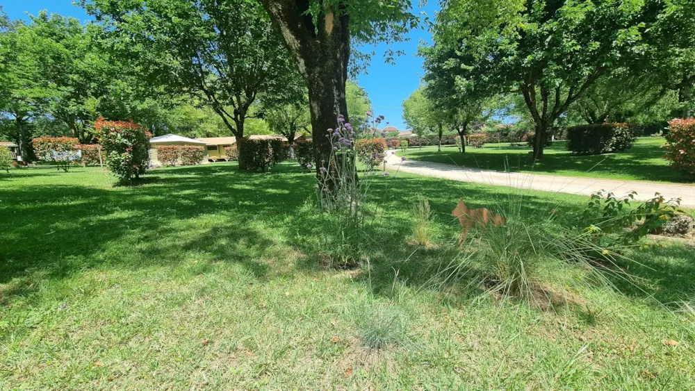 Camping LE BOIS DE SOPHIE