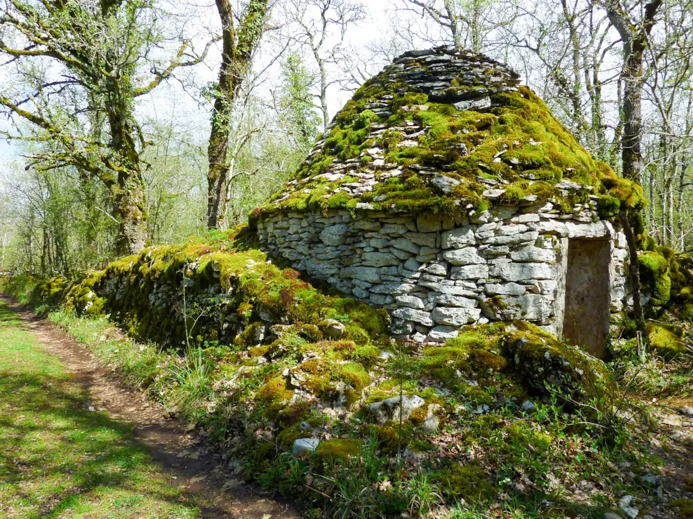 Camping LE BOIS DE SOPHIE