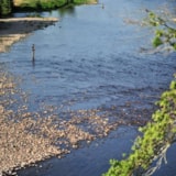 Foto #51 van Camping LA RIVIERE