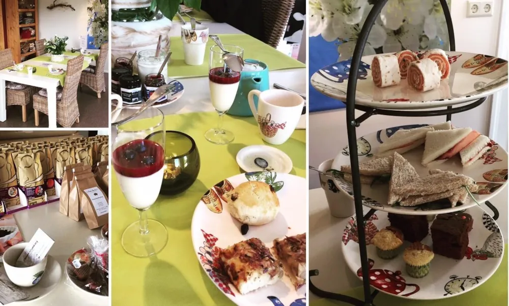 Camping Groot Antink - image n°12 - UniversalBooking