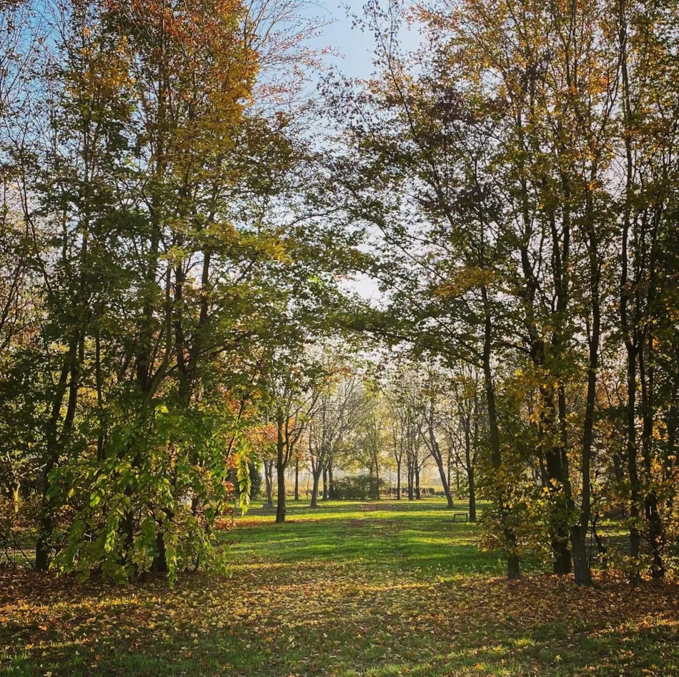 Camping Groot Antink