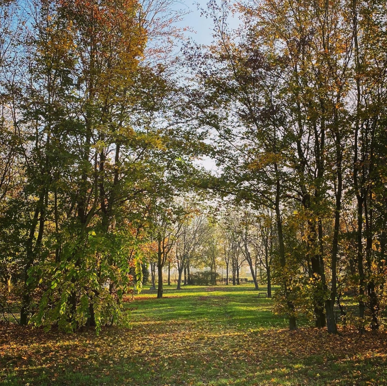 Camping Groot Antink