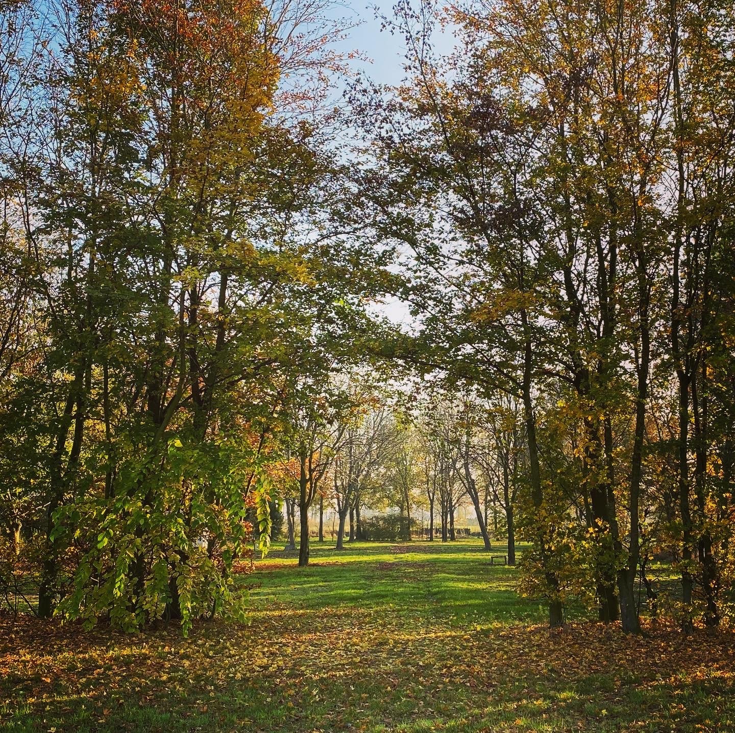 Camping Groot Antink — Photo 5