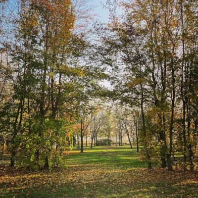 Camping Groot Antink