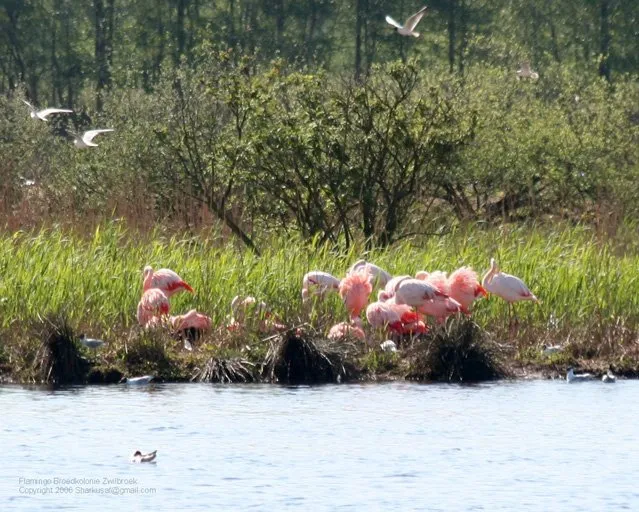 Camping Groot Antink - image n°8 - UniversalBooking