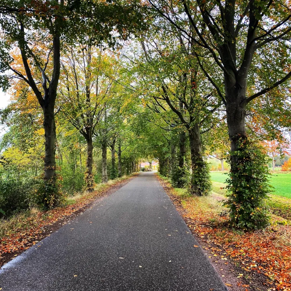 Camping Groot Antink - image n°14 - UniversalBooking