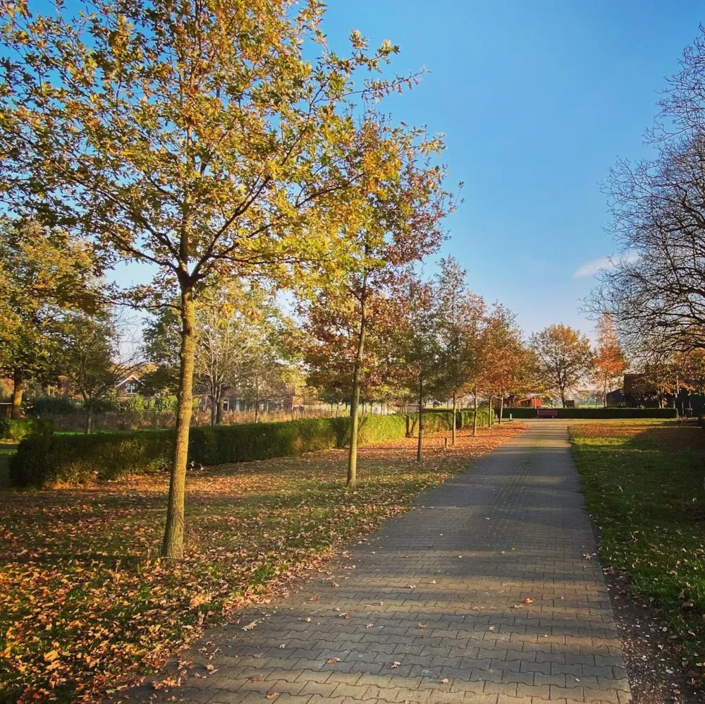 Camping Groot Antink - image n°17 - UniversalBooking