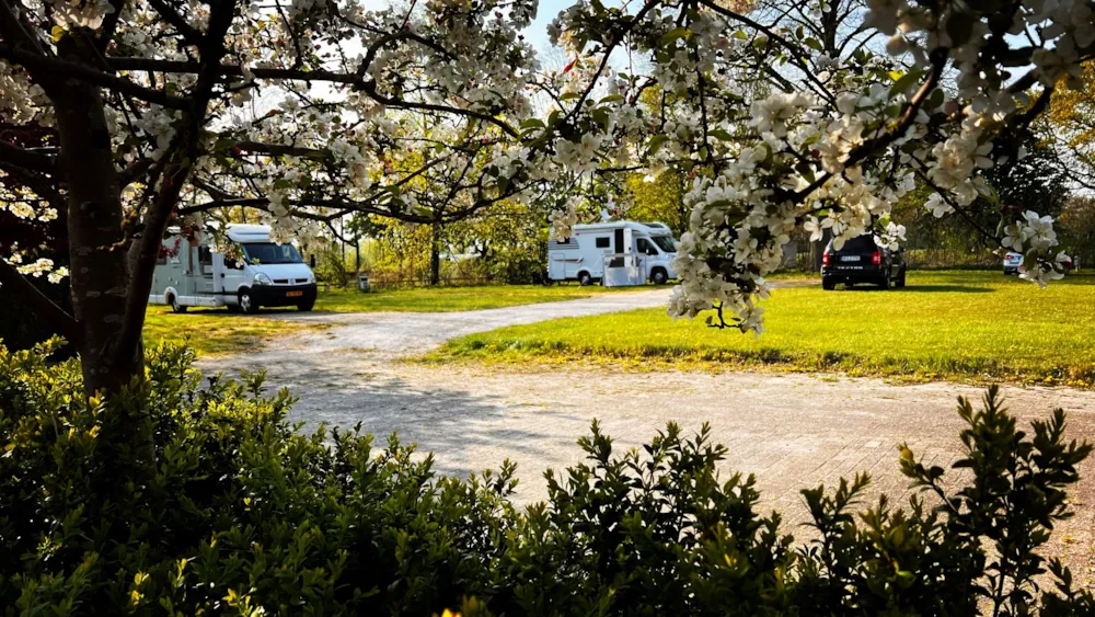 Camping Groot Antink - image n°6 - UniversalBooking