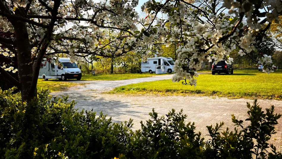 Camping Groot Antink