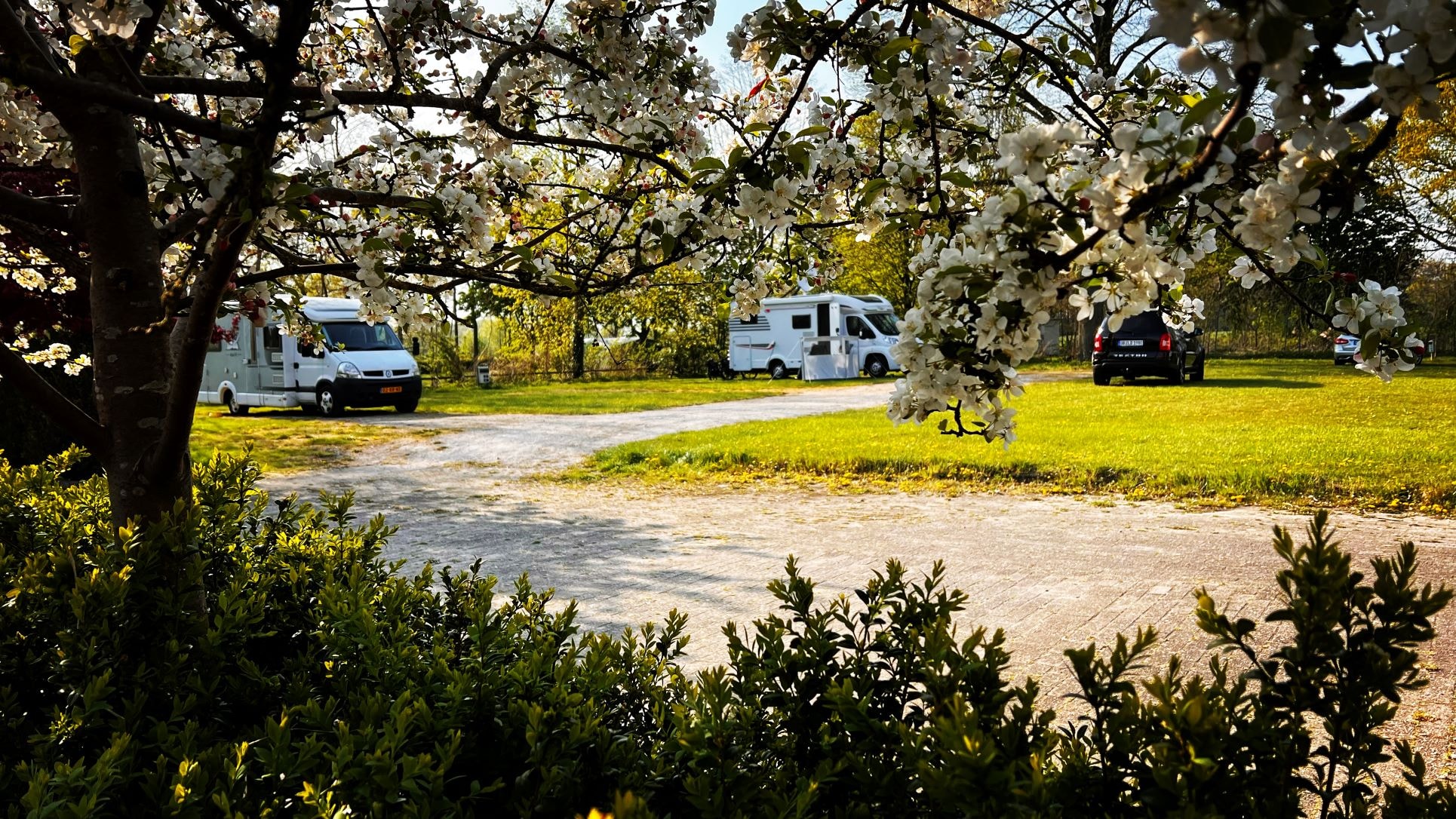 Camping Groot Antink — Photo 6