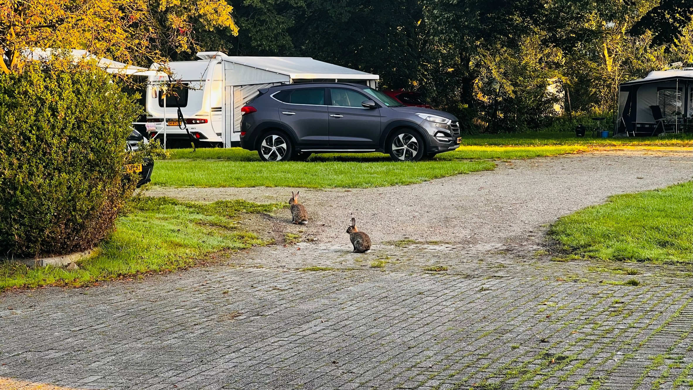 Camping Groot Antink — Photo 7