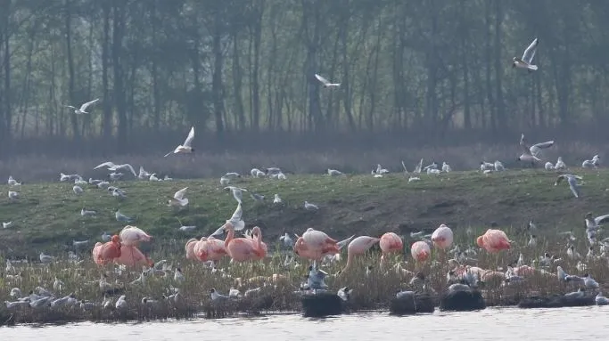 Camping Groot Antink - image n°12 - UniversalBooking