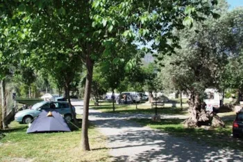 Stellplatz - Stellplatz: Auto + Zelt Oder Wohnwagen - Camping Órgiva