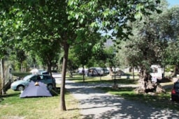 Pitch - Pitch: Car + Tent Or Caravan - Camping Órgiva