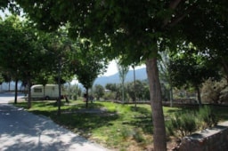 Pitch - Pitch Camping-Car - Camping Órgiva