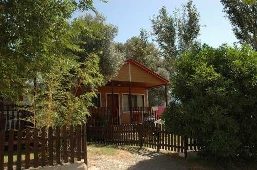 Wooden bungalow