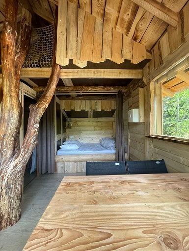 Heron hut (in the trees) overlooking the pond - 2021 — 3