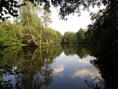 Chalet de l'île - 35m² - 3 bedrooms with dishwasher - on stilts - pond view - 2024 — 4