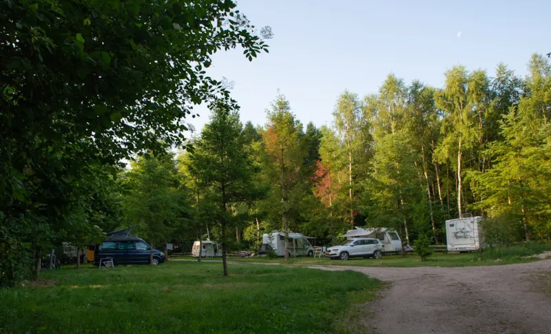 Forfait Privilège Avec Électricité 10A Et Eau Potable (Inclus 2P, Auto, Caravane Ou Tente)