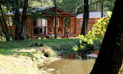 Chalet de l'île - 35m² - 3 bedrooms with dishwasher - on stilts - pond view - 2024 — 2