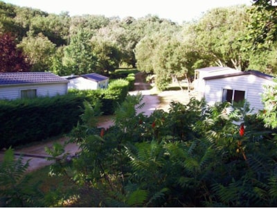 Camping LA GARRIGUE