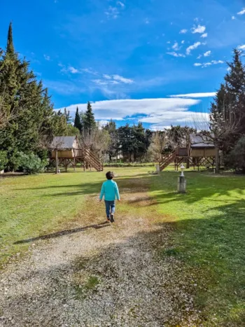 Mietunterkunft - Moorea - Camping Les Micocouliers