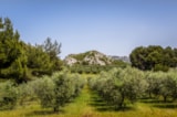 Foto #19 van Flower Camping Les Micocouliers