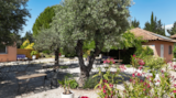 Foto #5 van Flower Camping Les Micocouliers