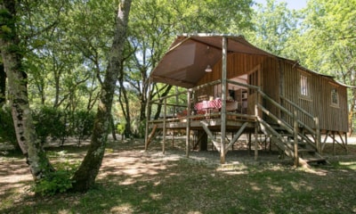 Stilted Cabin Insolite premium - 2 bedr