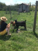 Foto #5 van Camping Les 2 Plages