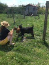 Foto #10 van Camping Les 2 Plages