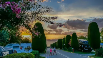 Stellplatz - Stellplatz Top - Camping Lido