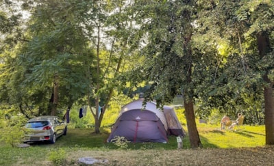 Pitch River for CARAVAN / CAMPER / TENT, from 80 up to 125m² Many have a transition area to the river
