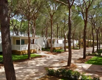 Mietunterkunft - Lodge Comfort Maremma - Gitavillage Le Marze