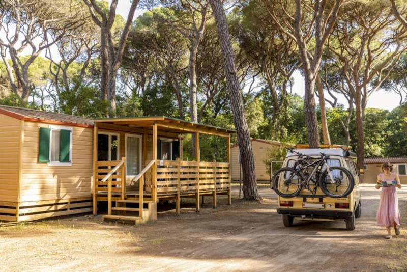 Lodge Comfort Marina