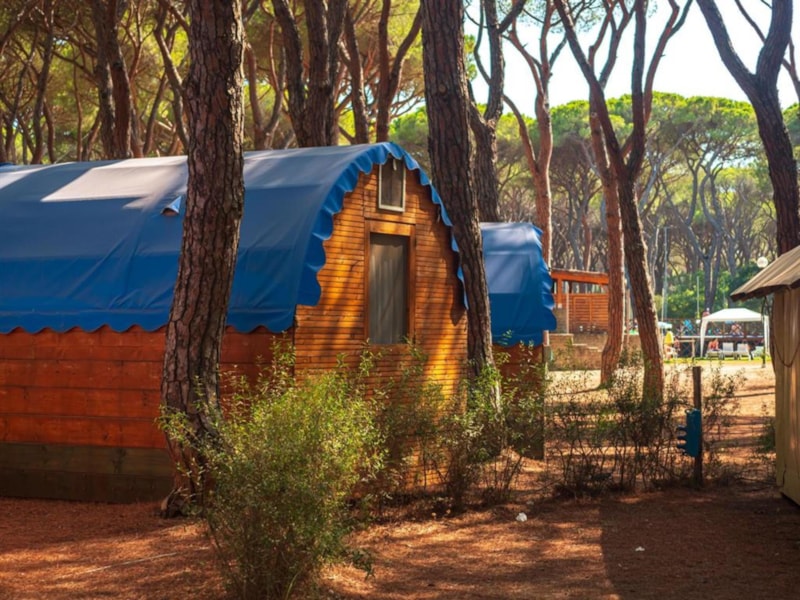 Woody Tent