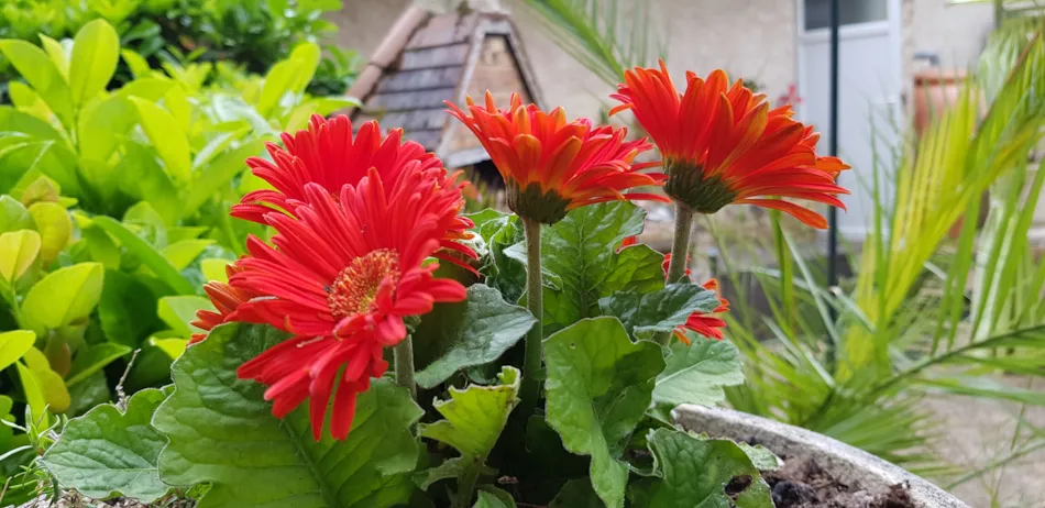 Camping du PIGEONNIER