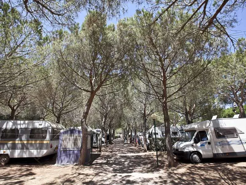 Club del Sole Stella del Mare Family Collection 