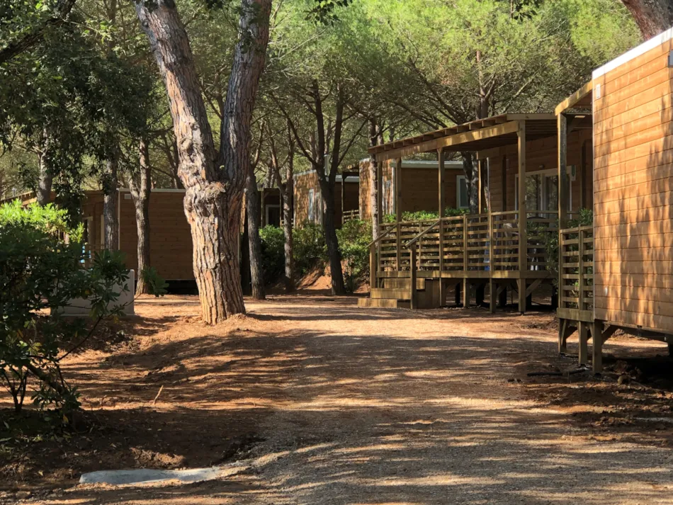 Club del Sole Stella del Mare Family Collection 