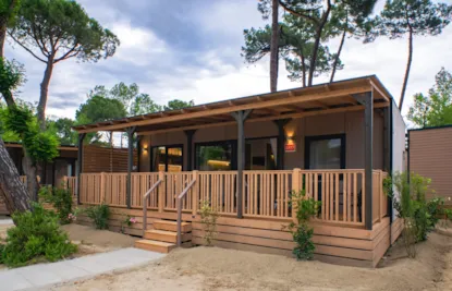 Junior Suite Mediterranea  Plus