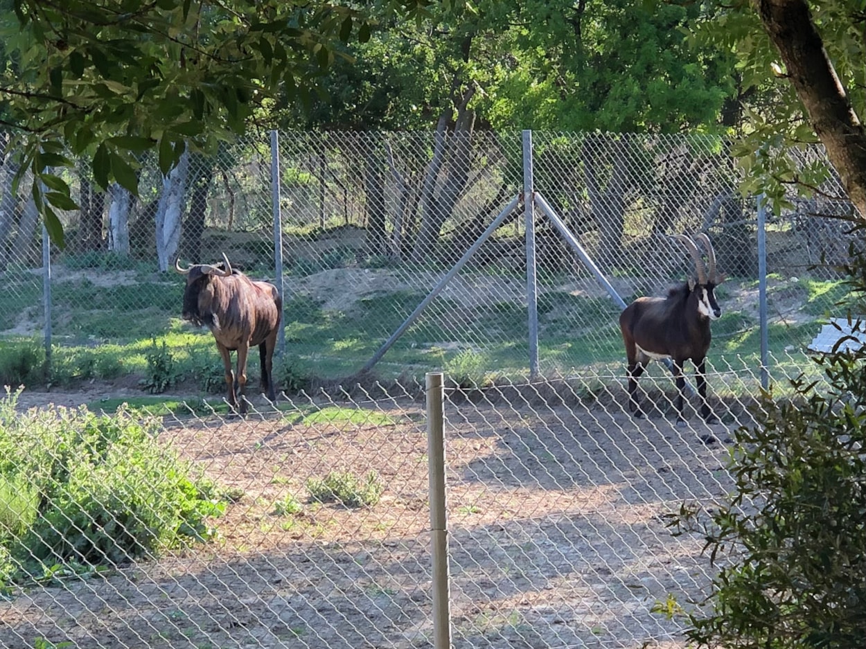 Camping La Grange Neuve - Face à La Réserve Africaine de Sigean