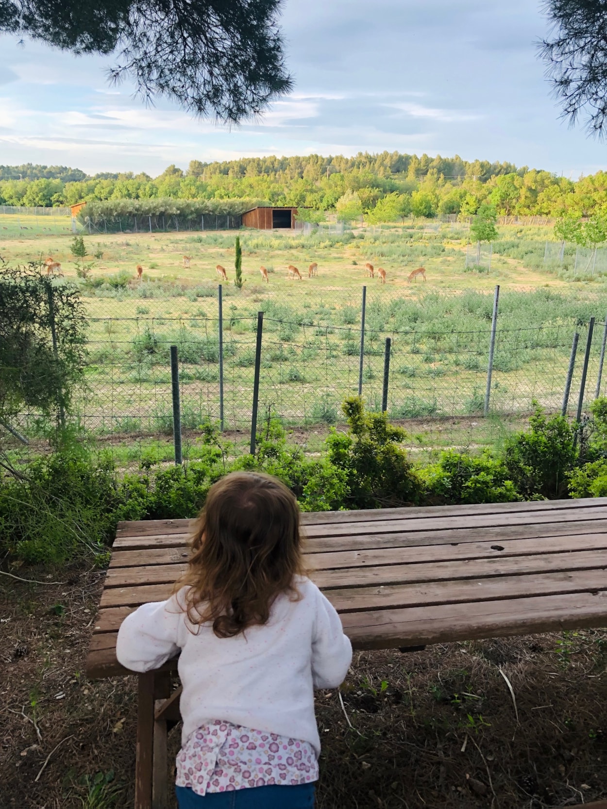 Camping La Grange Neuve - Face à La Réserve Africaine de Sigean