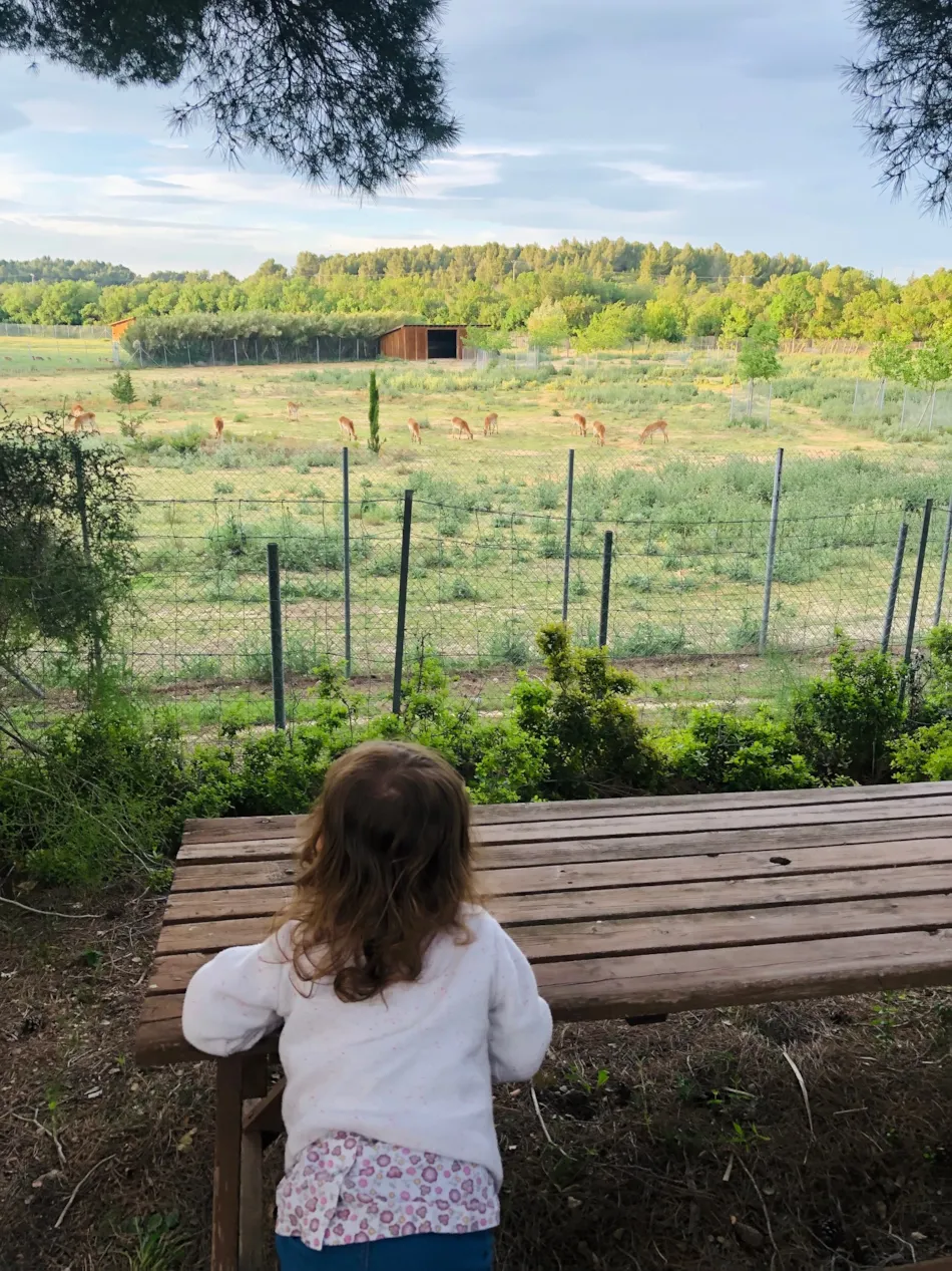 Camping La Grange Neuve